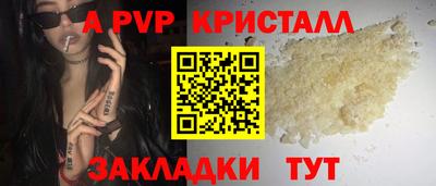 прущие грибы Будённовск