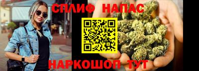 прущие грибы Будённовск