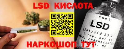 прущие грибы Будённовск