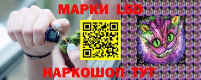 прущие грибы Будённовск