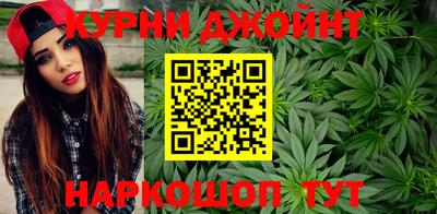 прущие грибы Будённовск