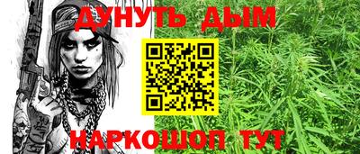 прущие грибы Будённовск