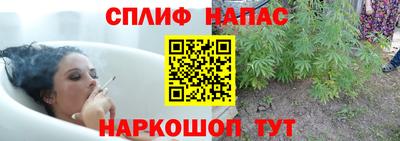 прущие грибы Будённовск