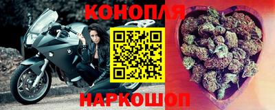 прущие грибы Будённовск